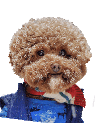 Winter Is Coming Dog Sticker