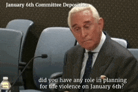 January 6 GIF by GIPHY News