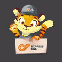 Exo Smile GIF by Express One