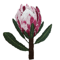 Embroidery Bordado Sticker by bemmimosa