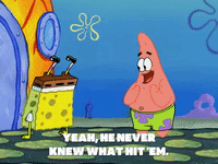season 5 blackened sponge GIF by SpongeBob SquarePants