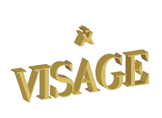 VisageTJ giphyupload swipe up follow us visage Sticker