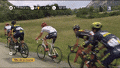 tour de france GIF by franceinfo