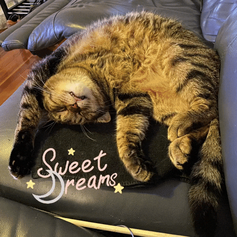 Sleepy Good Night GIF