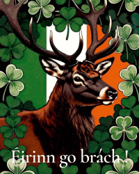 Made In Canada Shamrock GIF by TresorsDuMonde.ca