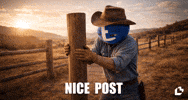 Cowboy Respect GIF by LitVM