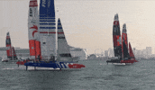 Racing GIF by SailGP