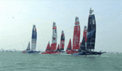 Racing GIF by SailGP
