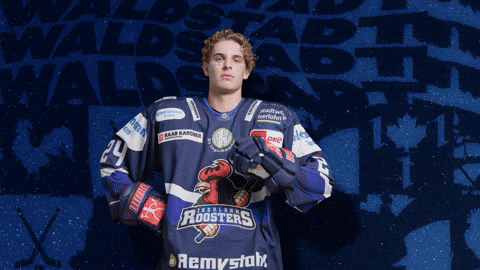 Celebration Hockey GIF by Iserlohn Roosters