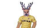 Calor Yucatan Sticker by Venados FC