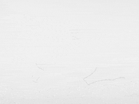 Animation Dog GIF by Jonah Primiano