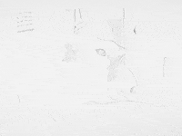 Animation Dog GIF by Jonah Primiano