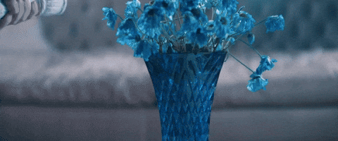 GIF by bea miller