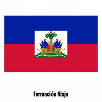 Haiti Flag GIF by Formación Ninja