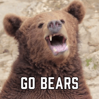 Go Bears