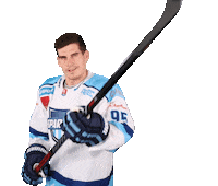 tiposshl sport hockey hokej shl Sticker