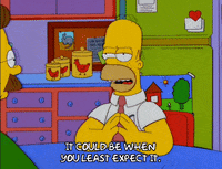homer simpson episode 10 GIF
