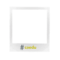 CaeduModa caedu caedumoda caedustickers Sticker
