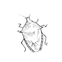 MadreSierra bbq grill gourmet mexicano Sticker