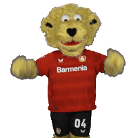 Happy Football Sticker by Bayer 04 Leverkusen