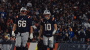 Wild Card Football GIF by New England Patriots