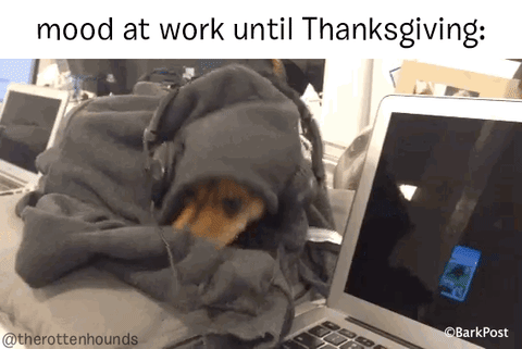 dog work GIF