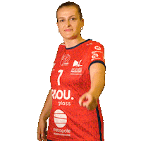 Sport Handball Sticker