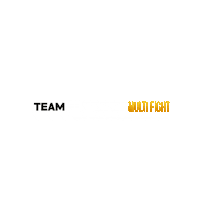 TeamPetrosyan mma milano kickboxing k1 Sticker