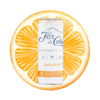 Orange Drinks Sticker by flordecana