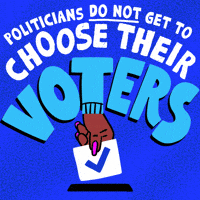 Election Results GIF by Creative Courage