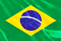 Brazil National Team GIF