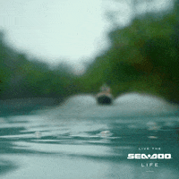 summer what GIF by Sea-Doo
