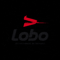 Sport Running GIF by Lobo Assessoria