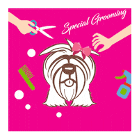 Furrypaws dog petshop dog grooming furry paws Sticker