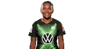 Sport Soccer Sticker by VfL Wolfsburg