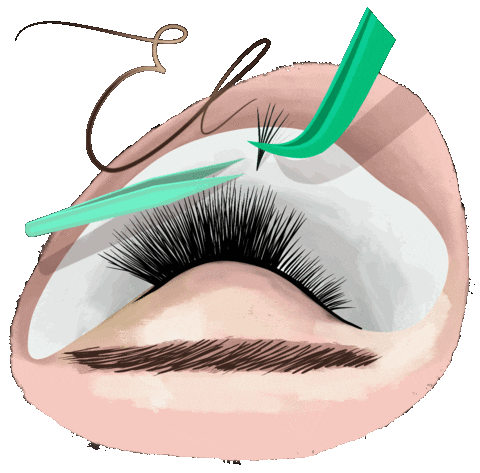 emeraldlashes giphyupload training lashes extensions Sticker