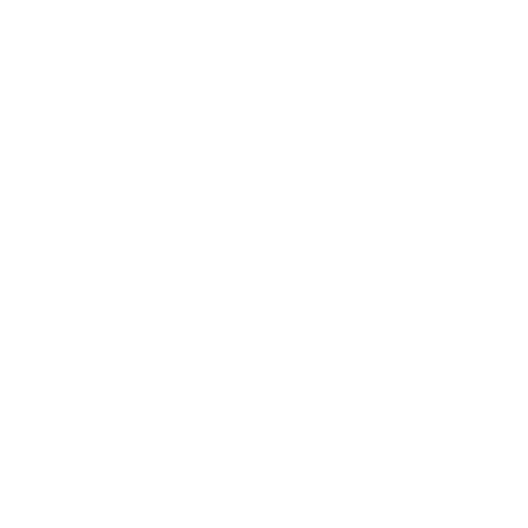 Logo Flossyru Sticker by Flossy Style