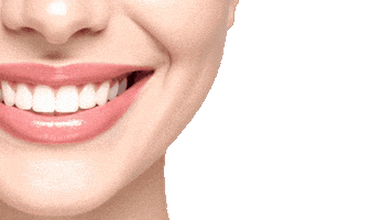 Netherlands Implant Sticker by Turadent Clinic