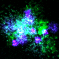 yizr art animation 3d trippy GIF