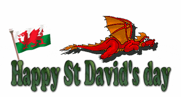 St Davids Day Sant GIF