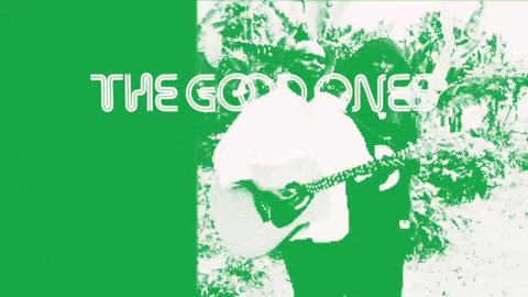 antirecords giphygifmaker music animated indie GIF