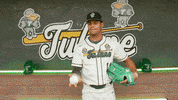 College Baseball Banks GIF by GreenWave
