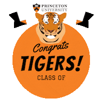 Commencement Sticker by Princeton University