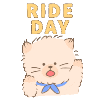 Cat 走る Sticker by koimoffee