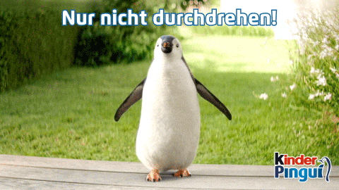 kinder_Pingui giphyupload sweet penguin chill GIF
