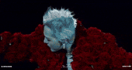 G-Dragon Concert GIF