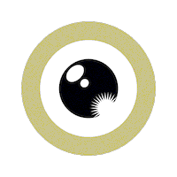 zurichfilmfest film festival wink zurich Sticker