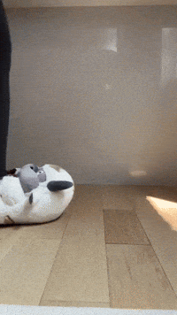 Appa GIF by Youtooz