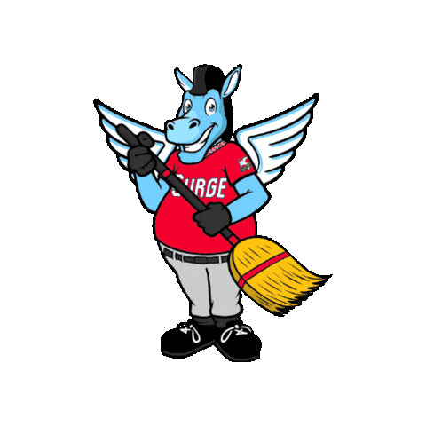 WindSurgeICT giphygifmaker baseball cleaning aa Sticker