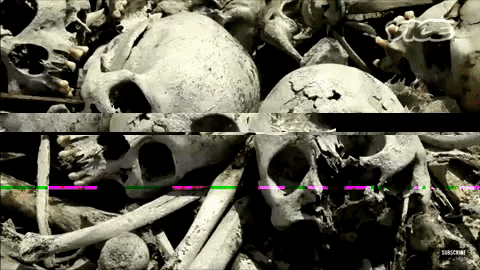ayehrahn giphygifmaker vice poverty cemetery GIF